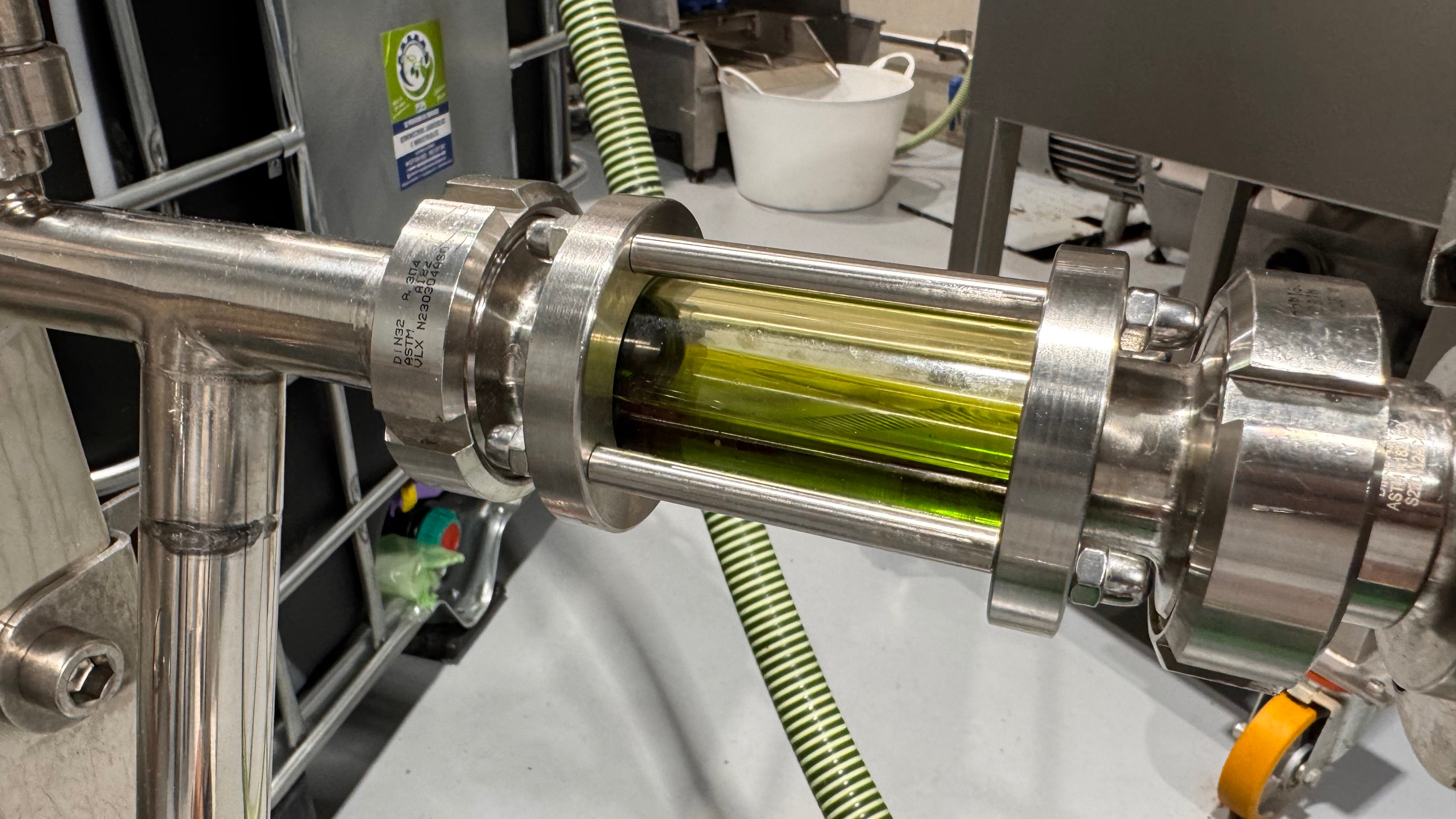 Fresh pressed olive oil